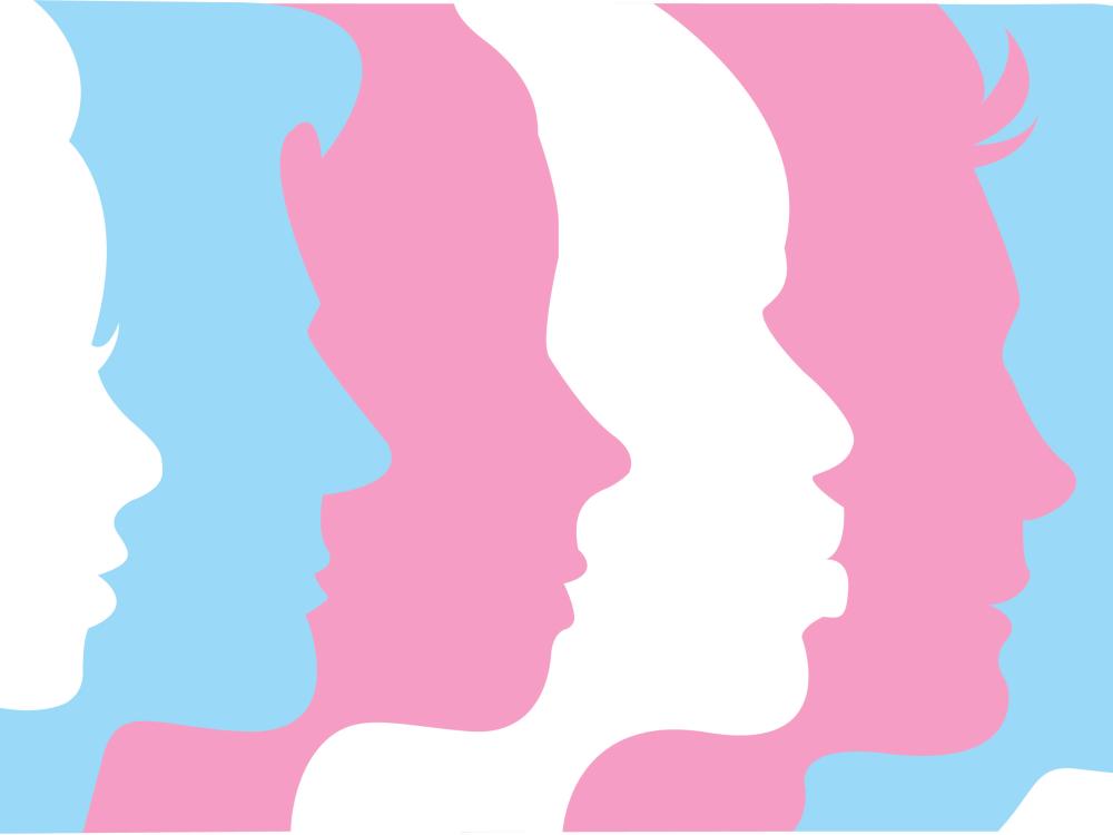 Transgender Awareness Month Logo including pink, blue and white facial silhouette